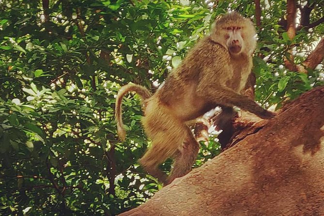 3 days fly in safari - Price and value: is $2,600 worth it for a 3-day flying safari?