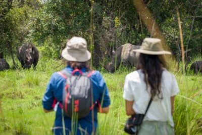 3 Days gorilla trekking Safari tour in Uganda - Day 2: From park briefing to gorilla tracking in the forest (1 to 6 hours)