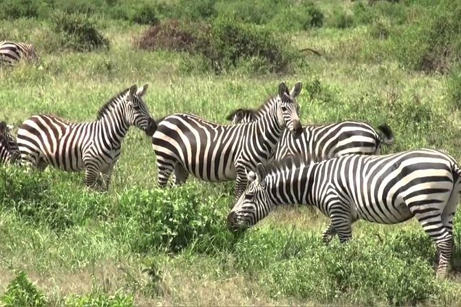 3 days group joining safari to Maasai Mara with a Land Cruiser Jeep - Nairobi to Maasai Mara: pickup, Rift Valley viewpoints, and how the day starts