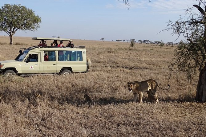 3 days group joining safari to Maasai Mara with a Land Cruiser Jeep - Guides and group size: what to expect from the people running the drive