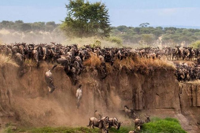 3 Days Maasai Mara Guided Safari from Nairobi - From Nairobi to the Great Rift Valley: the first animal-viewing mood