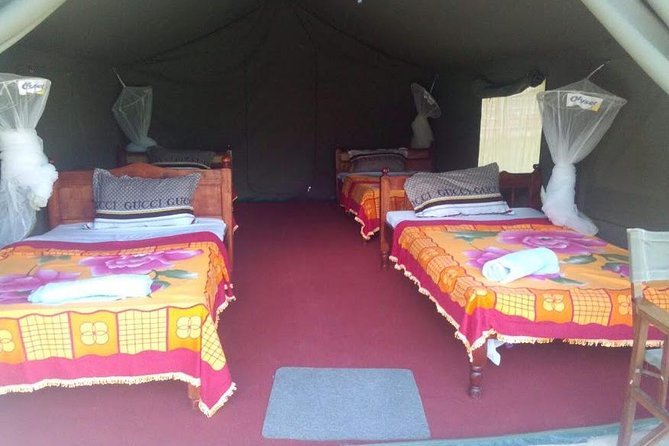 3 Days Maasai Mara Guided Safari from Nairobi - Day 3: Maasai village time, then straight back to Nairobi