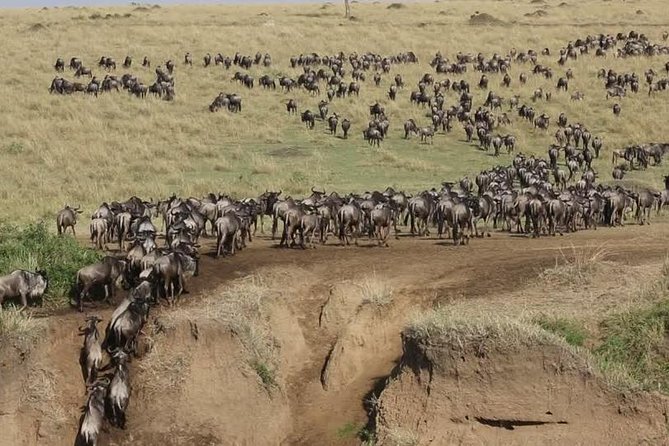3 Days Maasai Mara Guided Safari from Nairobi - Price and value: what $196 covers, and what will cost extra