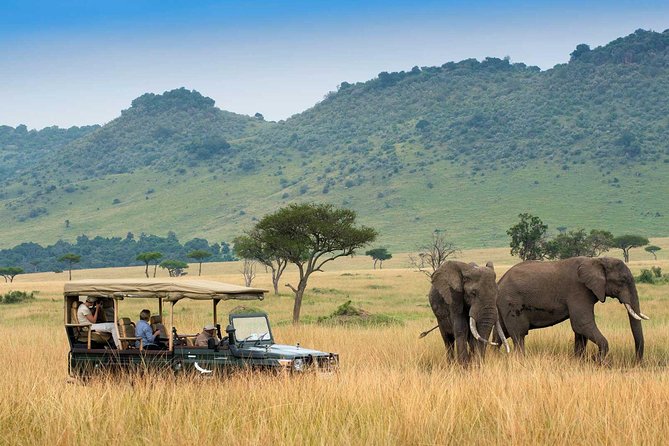 3 days Maasai Mara Luxury Safari - What to Watch For: The One Thing That Can Break the Mood