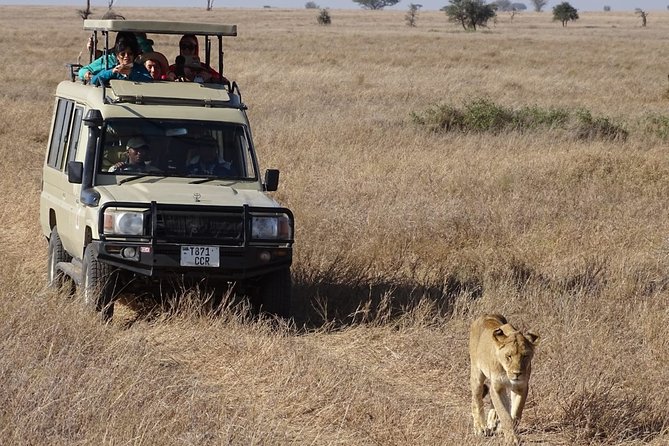 3 Days Maasai Mara Small Group Safari in a 4 x4 Land Cruiser Jeep - Why the 4x4 Land Cruiser and small group format matters