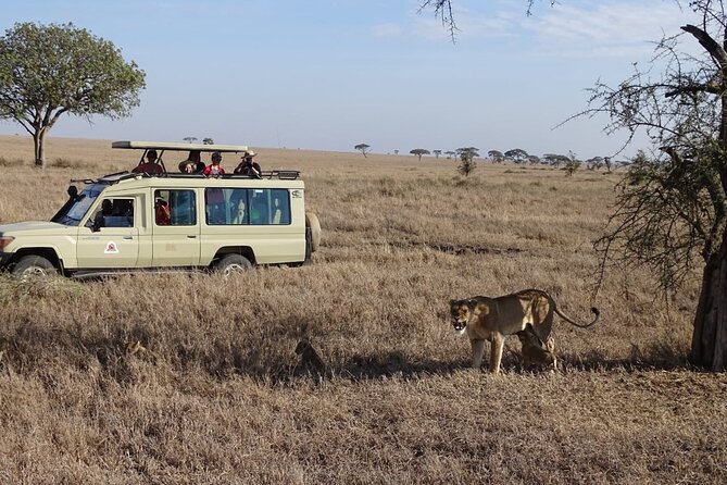 3 Days Maasai Mara Small Group Safari in a 4 x4 Land Cruiser Jeep - Nairobi to the Rift Valley viewpoint: a geology warm-up you’ll remember
