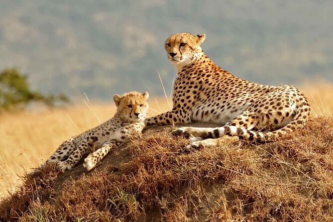 3 Days Mara Jambo Shared Safari Adventure - Picking up in Nairobi and rolling into the Great Rift Valley