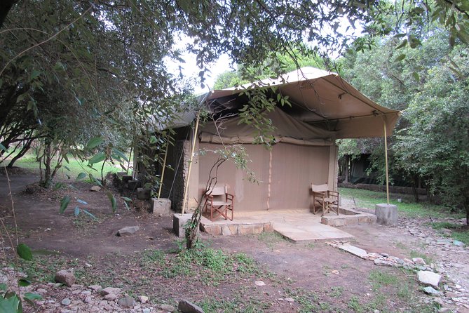 3 Days Masai Mara Budget Safari - Day 3: last breakfast, then back to Nairobi