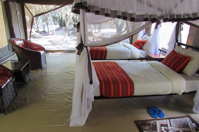 3 Days Masai Mara Budget Safari - Your home base: what the tented camp setup means in real life