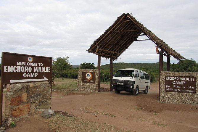 3 Days Masai Mara Budget Safari - Full day in the reserve: picnic lunch, birds, and that big Mara feeling