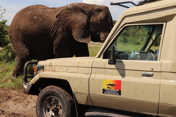 3 Days Private Safari - manyara, Ngorongoro & Tarangire - Three Parks, One Time Window: What This 3-Day Plan Really Covers