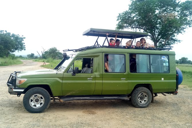 3 Days Safari to Mikumi NP - Accommodation Inside the Park - Full-Day Mikumi Safari: Game Drives, Mkata Floodplain Views, and Birdlife