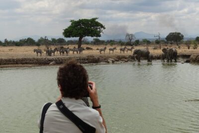 3 Days Safari to Mikumi NP - Accommodation Inside the Park - Dar es Salaam to Mikumi: The 5-Hour Transfer and First Game Drive