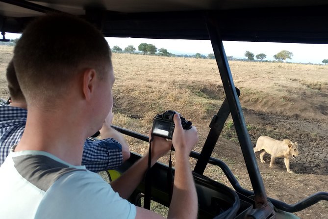 3 Days Safari to Mikumi NP - Accommodation Inside the Park - Value and Price: What $825 Really Buys You