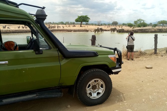 3 Days Safari to Mikumi NP - Accommodation Inside the Park - What You’ll Actually Experience on Safari (Not Just the Checklist)