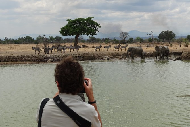 3 Days Safari to Mikumi NP - Accommodation Inside the Park - Dar es Salaam to Mikumi: The 5-Hour Transfer and First Game Drive