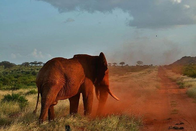 3 days safari Tsavo East and Taita hills (Saltlick lodge) - Who This Safari Fits Best (and Who Might Want Something Different)