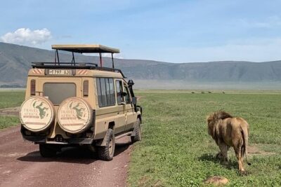 3 Days Small Group Safari to Serengeti NP and Ngorongoro Crater Tour in Tanzania - Day 1 in Serengeti: Plains Grazers, Kopjes, and Hippo Country