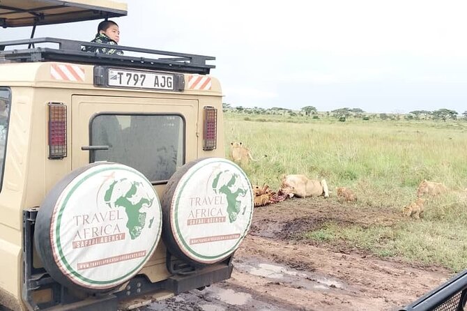 3 Days Small Group Safari to Serengeti NP and Ngorongoro Crater Tour in Tanzania - What “Camping Gear Included” Really Means Here