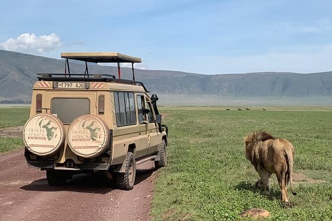 3 Days Small Group Safari to Serengeti NP and Ngorongoro Crater Tour in Tanzania - Day 1 in Serengeti: Plains Grazers, Kopjes, and Hippo Country
