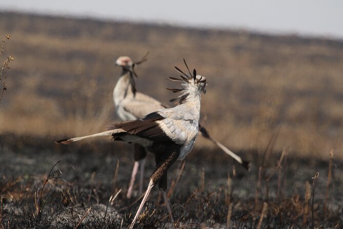 3 Days Tarangire, Ngorongoro & Lake Manyara Group Camping Safari - Service that keeps the safari calm: communication, pickup, and team roles