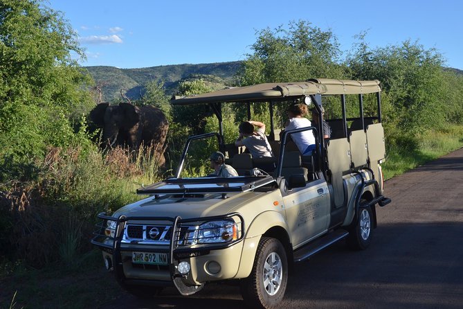 3-Hour Private Game Drive of Pilanesberg National Park - Inside the Park: What 3 Hours Lets You Actually Do