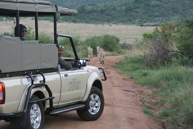 3-Hour Private Game Drive of Pilanesberg National Park - Price and Value: $529.12 Per Group, Up to 10