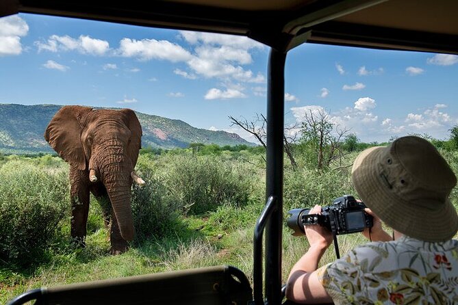 3-Hour Scheduled Safari Game Drive in Pilanesberg National Park - Sun City pickup and the open-top safari setup