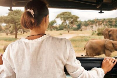 3-Hour Scheduled Safari Game Drive in Pilanesberg National Park - Pilanesberg National Park game drive: what you’ll actually do