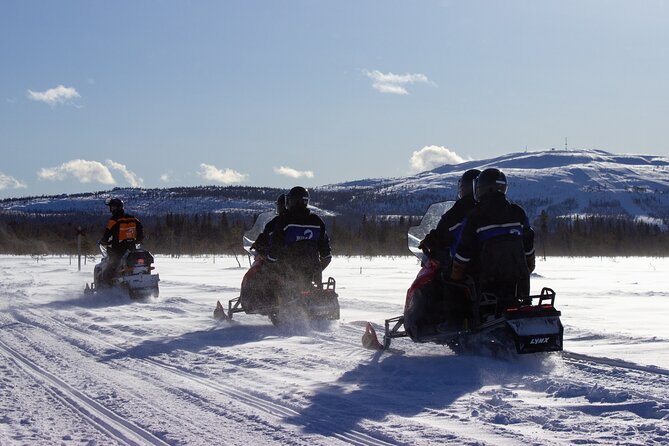 3 Hour Snowmobile Safari Around Levi with Coffee Break - Who Should Book This Levi Safari, and Who Might Regret It