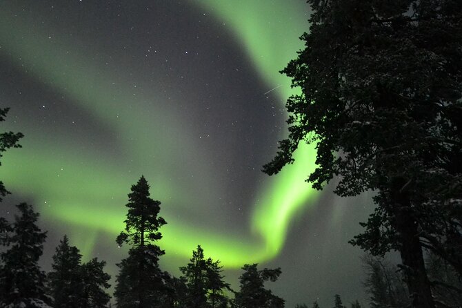 3-Hour Snowmobile Safari to Search Northern Lights in Levi - Price and Value: What $203.04 Per Person Actually Covers