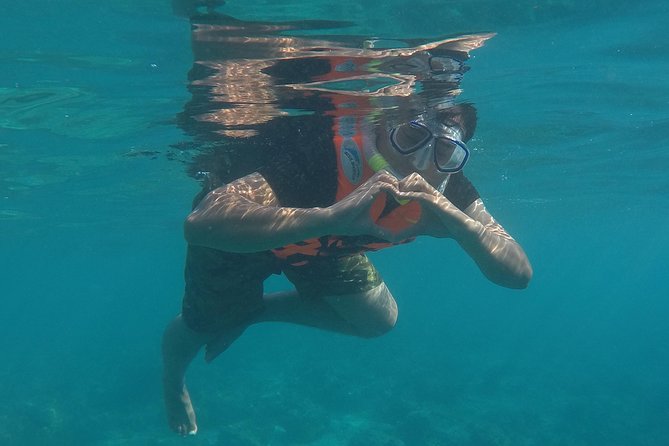 3 Point Snorkeling Safari - Key things to know before you go