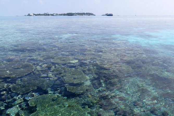 3 Point Snorkeling Safari - Why this 3-stop safari near Malé is worth the short day