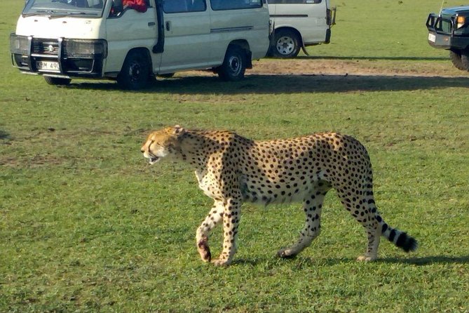 3Days 2nights Masai Mara group joining safari - Key Things I’d Pin to Your Map