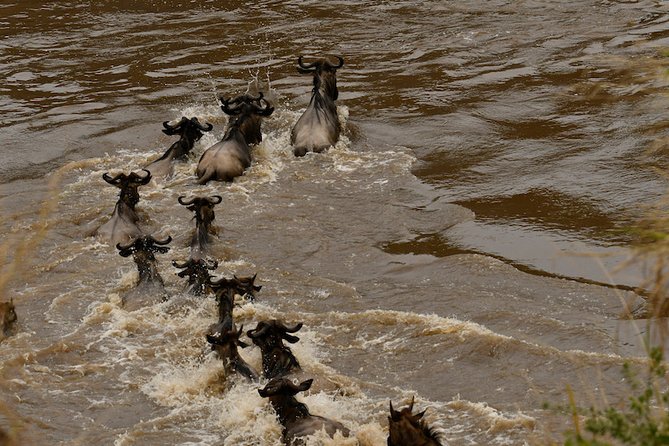 3days Masai Mara private safari with a 4x4 land cruiser Jeep - First Morning in Nairobi: Pickup, Rift Valley Viewpoint, and First Game Drive