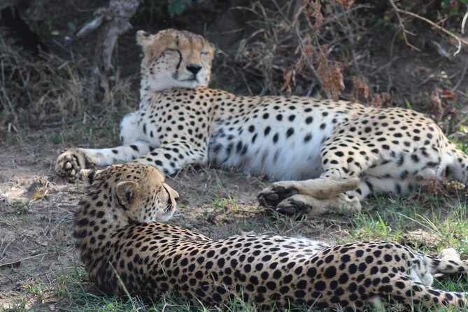 3days Masai Mara private safari with a 4x4 land cruiser Jeep - Who This Private Masai Mara Safari Fits Best (And Who Might Want to Adjust Expectations)