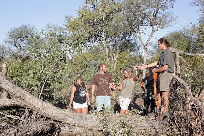 4 Day Classic Kruger National Park Safari - Day 2: the bush walk that turns Kruger from viewing to understanding