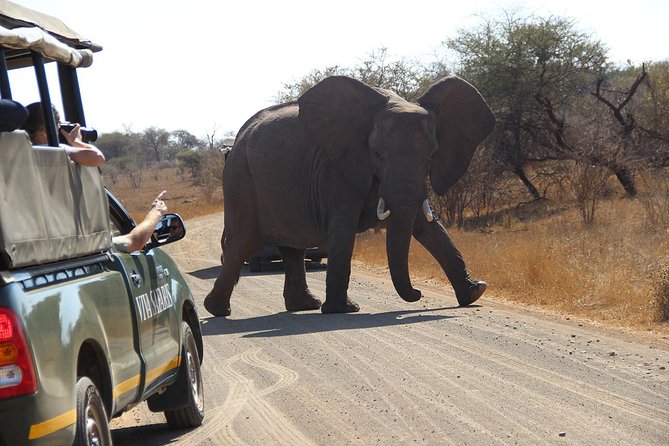 4 Day Classic Kruger National Park Safari - Day 3: Orpen to Satara to Nwanedzi in Kruger National Park