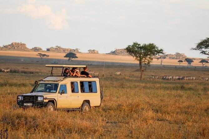 4-Day fascinating Camping Safari in Tanzania - Ngorongoro conservation area day 3: crater rim camping and a long safari day