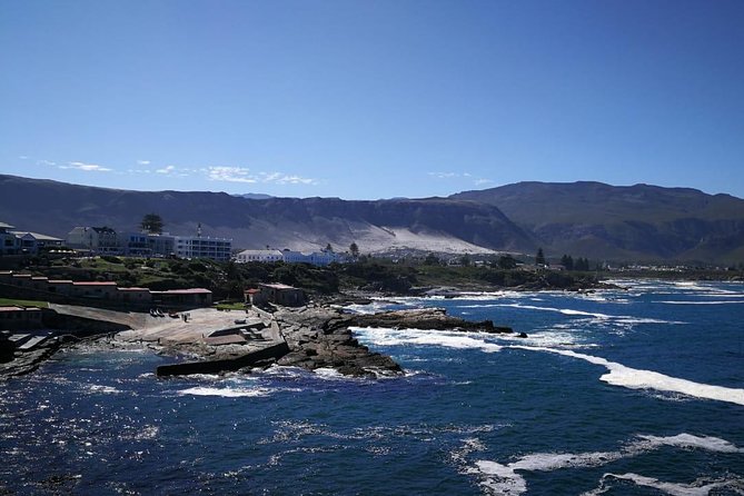 4 Day Garden Route Adventure & Safari - Guides, group size, and the reality of a packed schedule