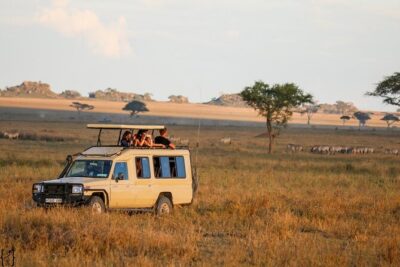 4 Day Great Migration Safari Serengeti & Ngorongoro Crater - Day 1: your arrival game drive in Serengeti National Park