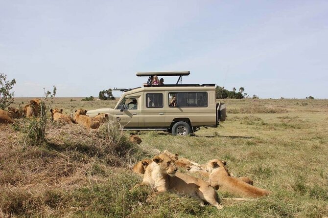4 Day Great Migration Safari Serengeti & Ngorongoro Crater - Mid-range stays and the comfort you should actually plan for