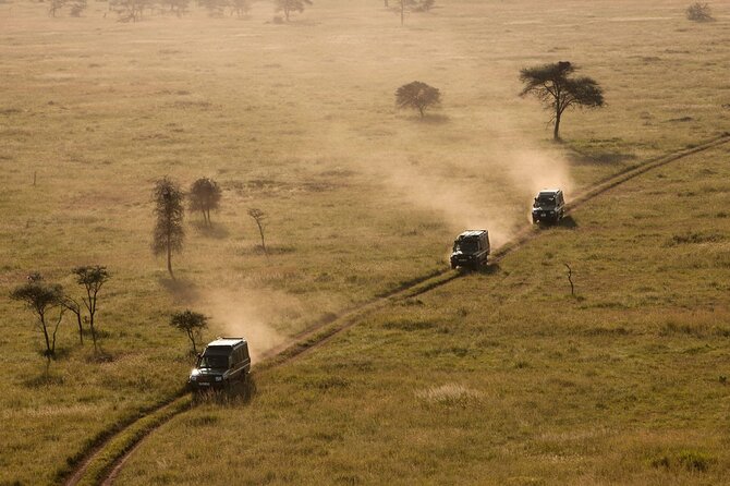 4 Day Great Migration Safari Serengeti & Ngorongoro Crater - The people part: guide skill and real-world service