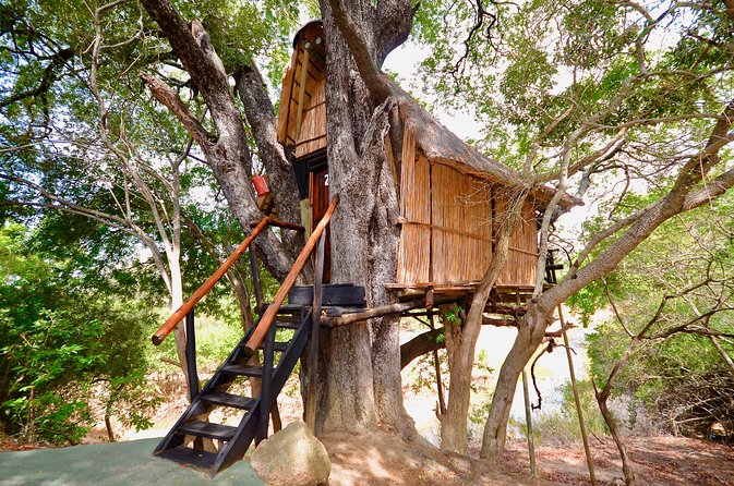 4 Day Lodge and Treehouse Kruger National Park Safari - Day 1 in Balule: sunset drive, spotlights, and Marula Tree Boma BBQ