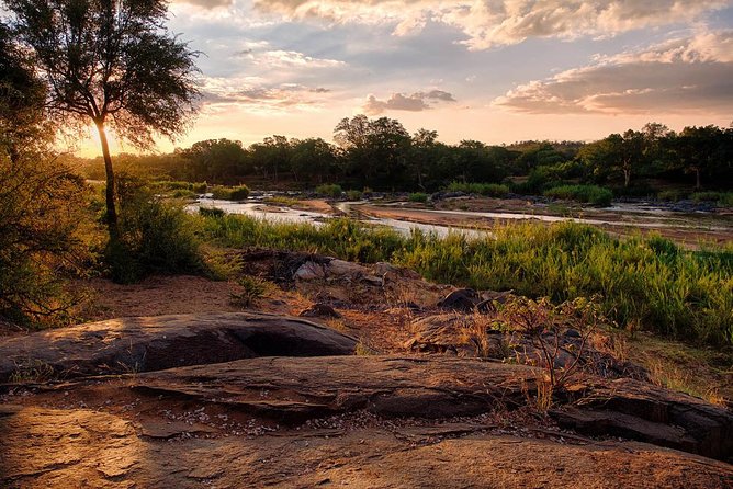 4 Day Lodge and Treehouse Kruger National Park Safari - Day 3 at Kruger from Orpen Gate: open-sided gameviewer and lion country odds