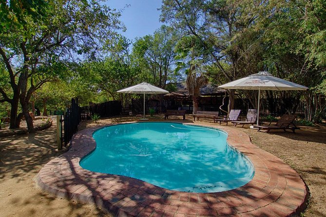 4 Day Lodge and Treehouse Kruger National Park Safari - Treehouse lodge reality check: Tremisana comfort and Marc’s treehouse vibe