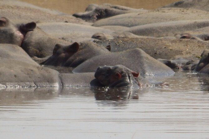 4-Day Safari from Arusha: Tarangire, Serengeti and Ngorongoro - Meals, Water, and Comfort on Safari Days
