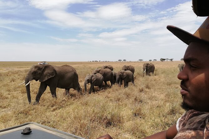 4-Day Safari to Tarangire, Serengeti and Ngorongoro from Arusha - Join a group - Guides and group energy: the names people associate with smooth trips