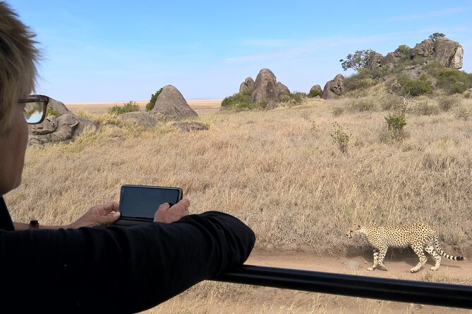 4-Day Safari to Tarangire, Serengeti and Ngorongoro from Arusha - Join a group - Day 1 in Tarangire National Park: elephants, baobabs, and the Tarangire River effect