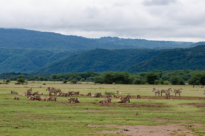 4-day Tanzania Safari - From JRO to Arusha: how the trip starts with a real landing